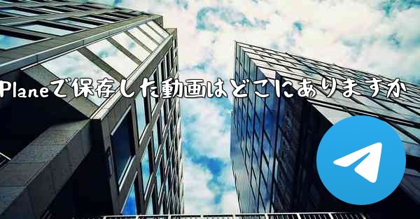 Paper Planeで保存した動画はどこにありますか