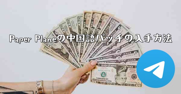 Paper Planeの中国語パッチの入手方法