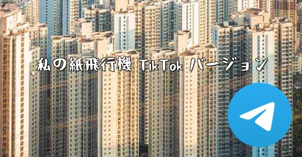 私の紙飛行機 TikTok バージョン