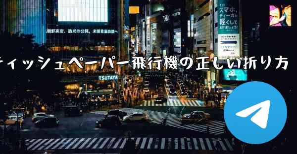 ティッシュペーパー飛行機の正しい折り方