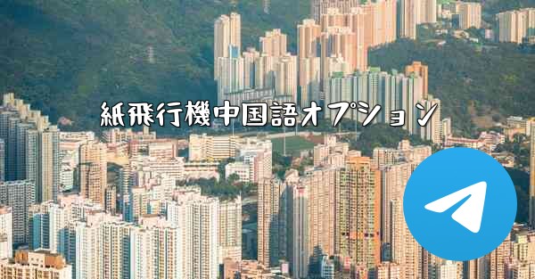 紙飛行機中国語オプション