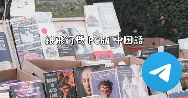 紙飛行機 PC版 中国語